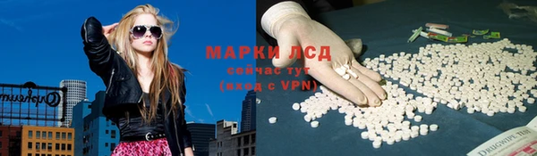 спайс Бородино