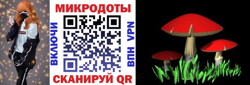 Псилоцибиновые грибы мицелий  Выборг 